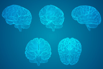 这句话的意思是什么？