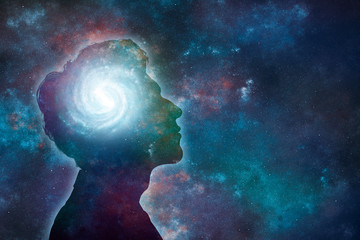 动植物的小知识