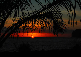 渣女往往看着都很清纯