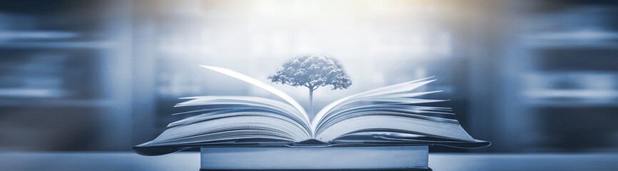 制作叶脉标本的药品 可以用家里的东西代替吗？