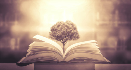 幼儿园安全工作会议记录内容