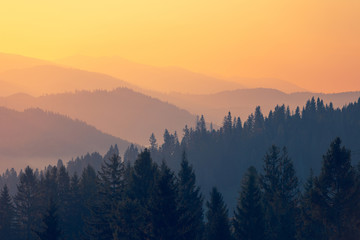 低碳生活有哪些-请举1o个例子