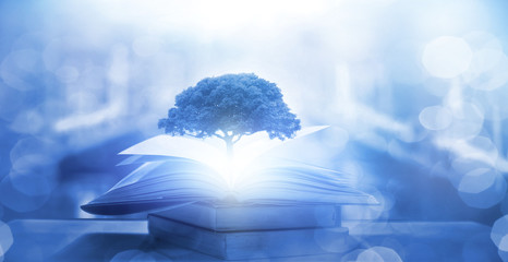 这句话的意思是什么？