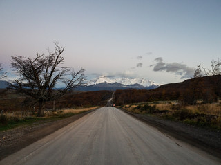 制作叶脉标本的药品 可以用家里的东西代替吗？