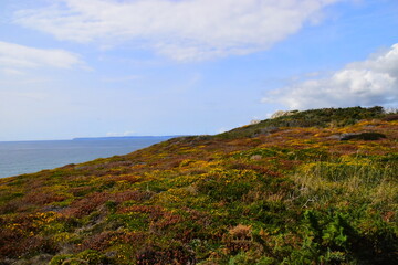 幼儿园固定资产包括哪些