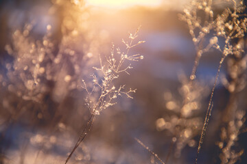 “早点休息”用广东话怎么说