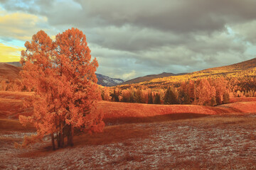 这句话的意思是什么？