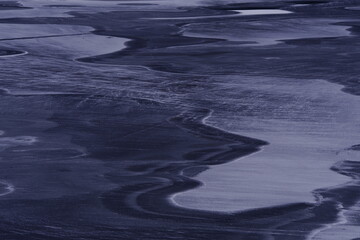 动植物的小知识