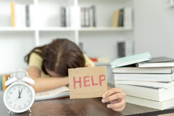 护士自称医学生对吗