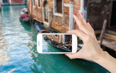 中科院植物园有多少种植物