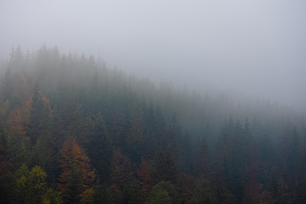 这句话的意思是什么？