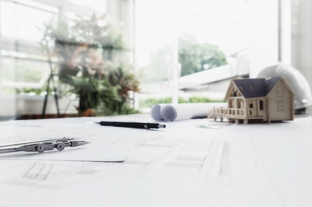 动植物的小知识