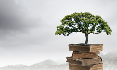 幼儿园安全工作会议记录内容