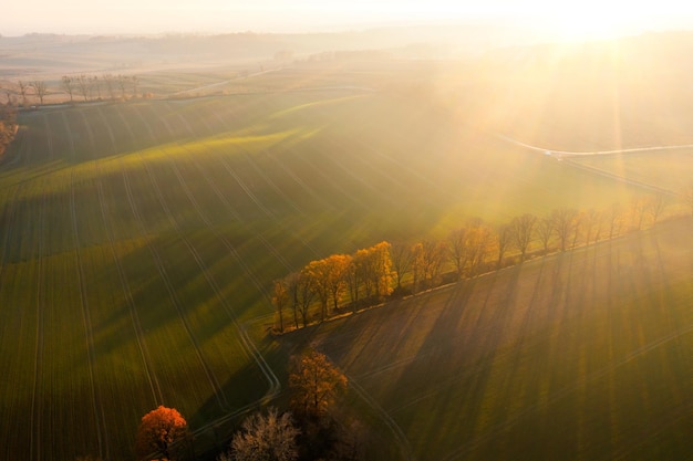 中科院植物园有多少种植物