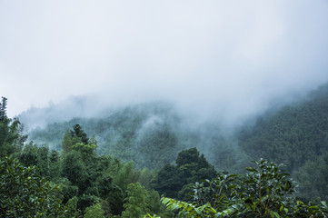 中科院植物园有多少种植物